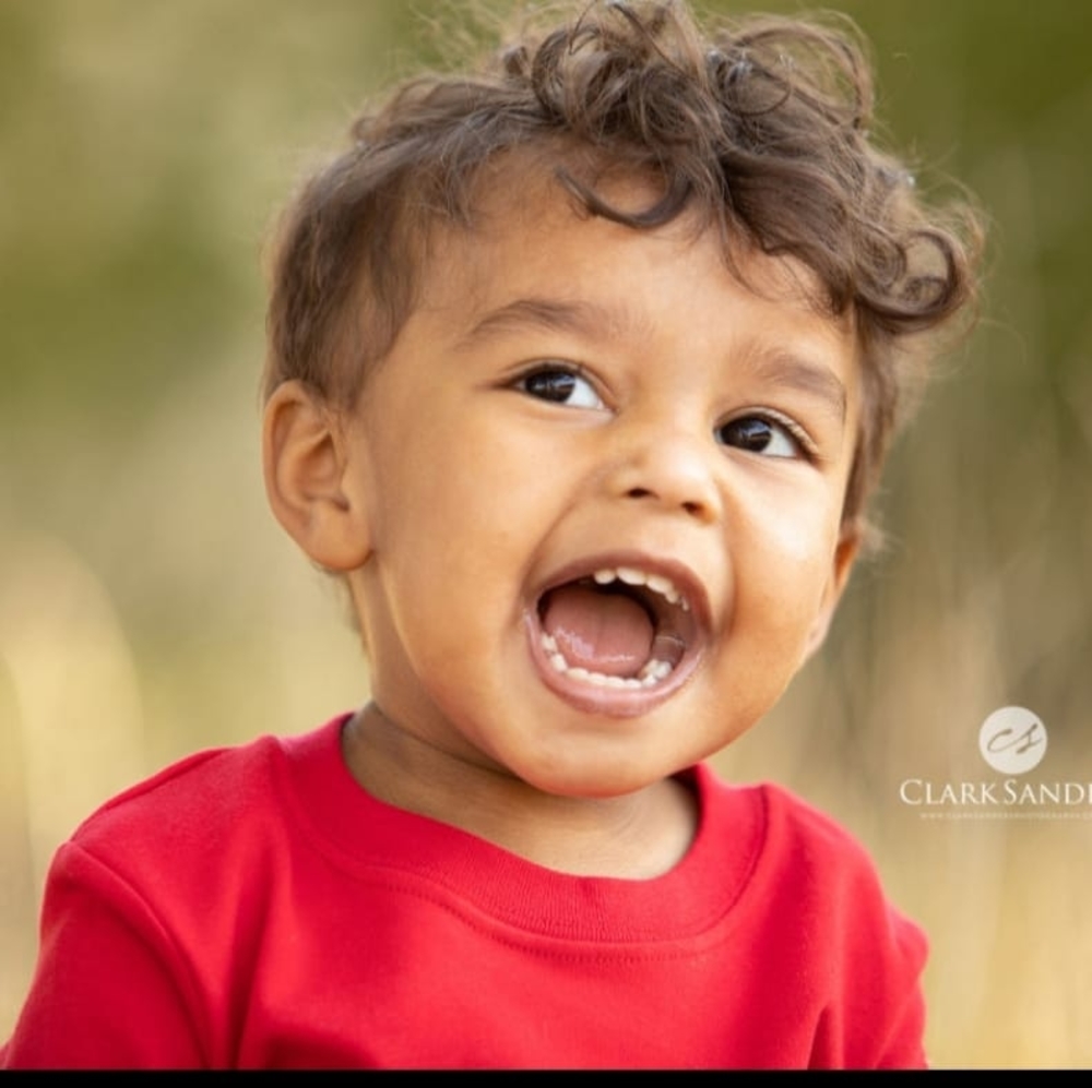 Meet your Posher, Ginger